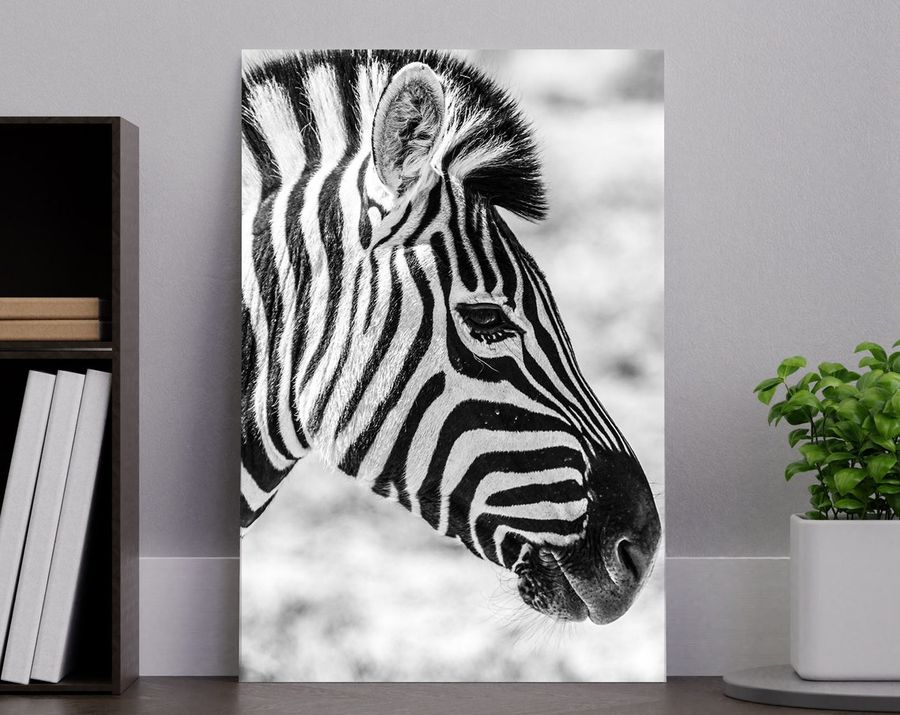 Cute Zebra Poster, Nursery Wall Art, Zebra Photo, Kids Room Decor, Children Jungle, Canvas, Poster, Print, Digital Download