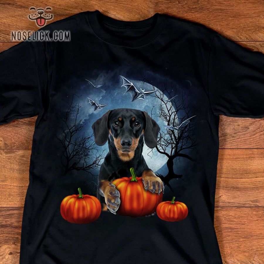 Dachshund hugging pumpkin – Dark halloween pumpkin, Happy Dachshund halloween