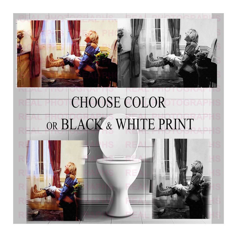 Dumb Dumber Movie Poster Harry Dunne Print Funny Bathroom Comedy Jeff Daniels Toilet Scene  Photo  Reproduction Choose Color, Black White B3