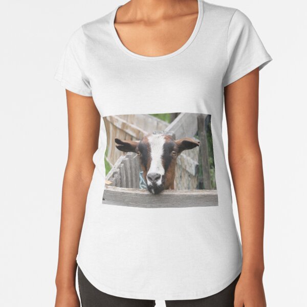 Goat Premium Scoop T-Shirt