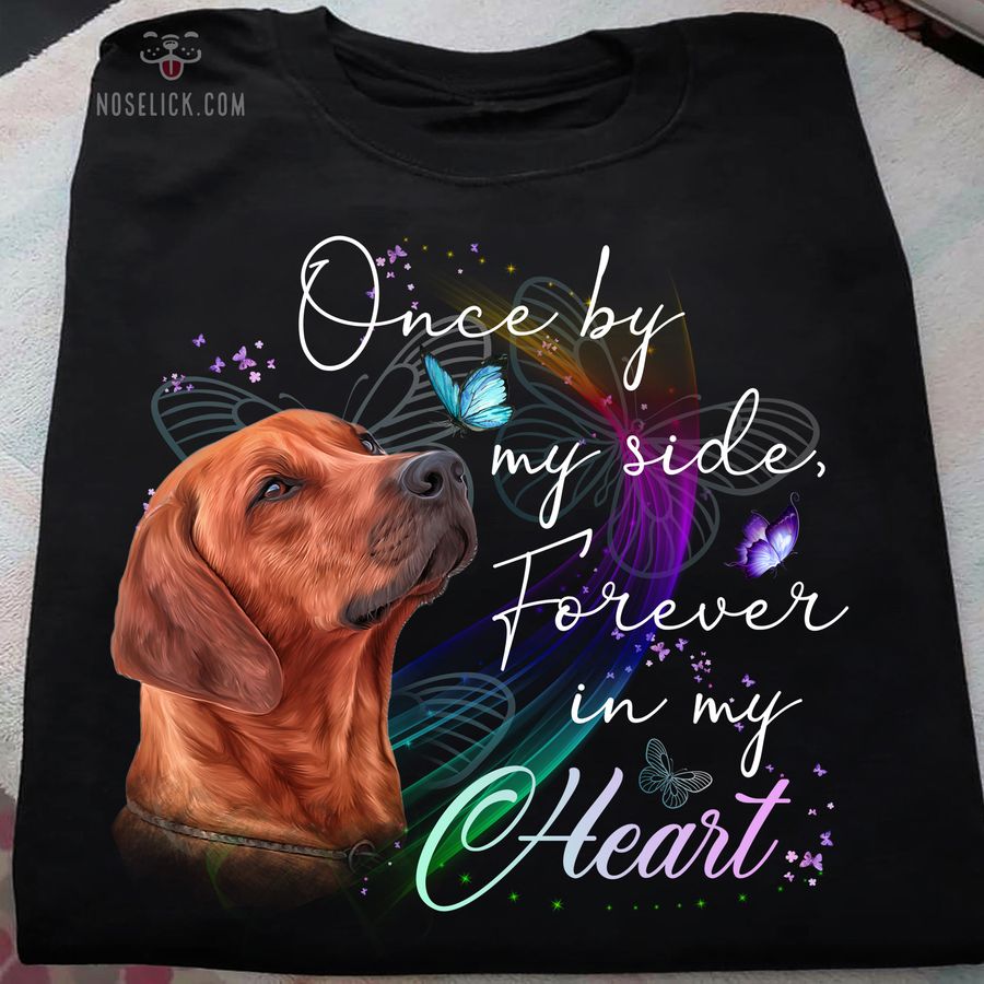Golden Retriever – Once by my side forever in my heart