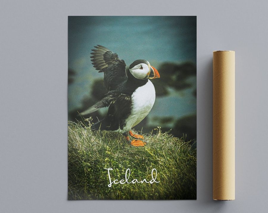 Iceland Travel Poster, Canvas, Digital File, Puffin, Home Decor, Wall Art