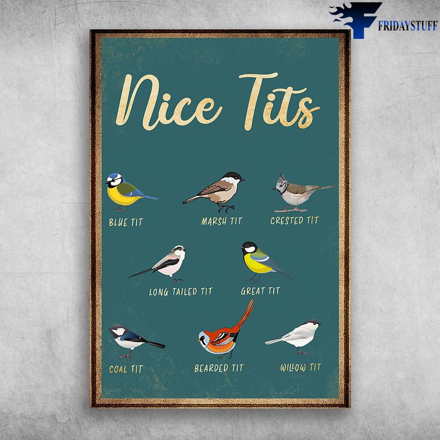 Nice Tits and Blue Tit, Marsh Tit, Crested Tit, Long Tailed Tit, Great Tit, Coal Tit, Bearded Tit, Willow Tit Poster