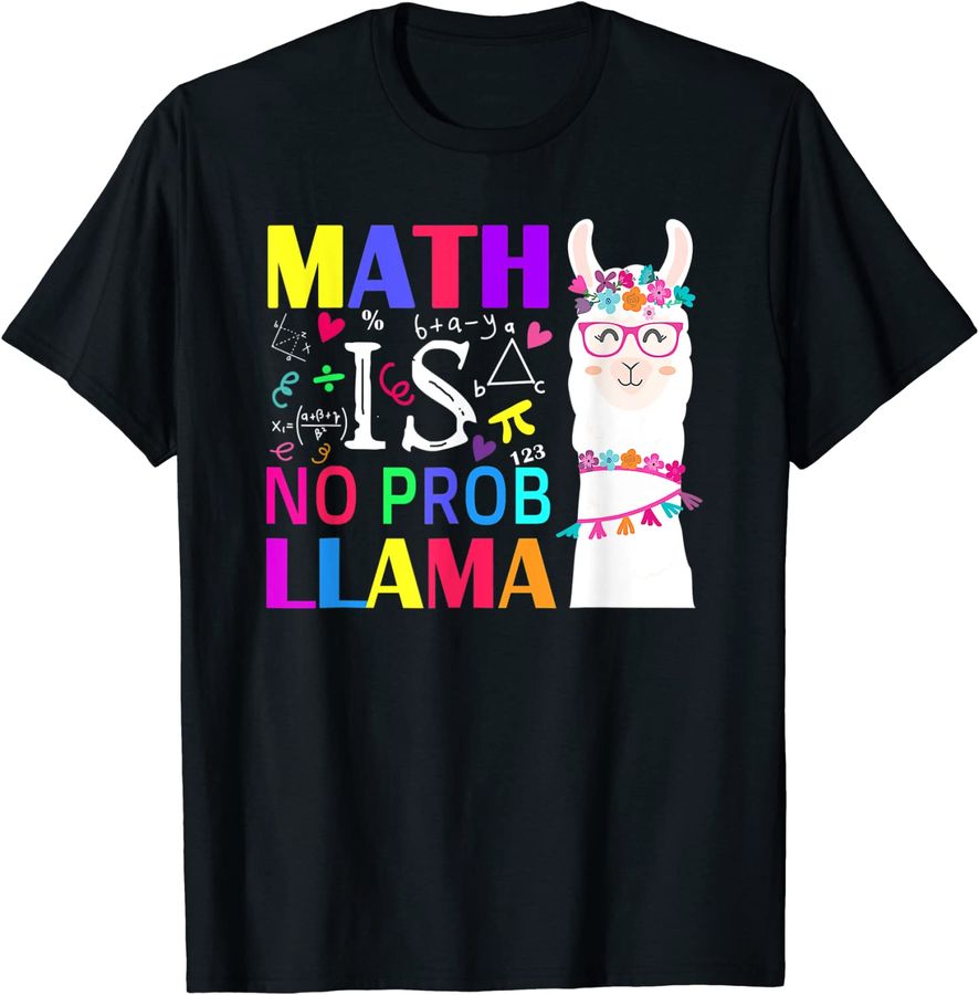 School Math Is No Prob Llama Teacher