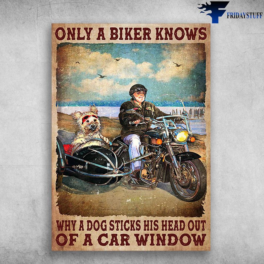 Sidecar Dog – Only A Biker Knows, Why A Dog Sticks His Head, Out Of A Car Window
