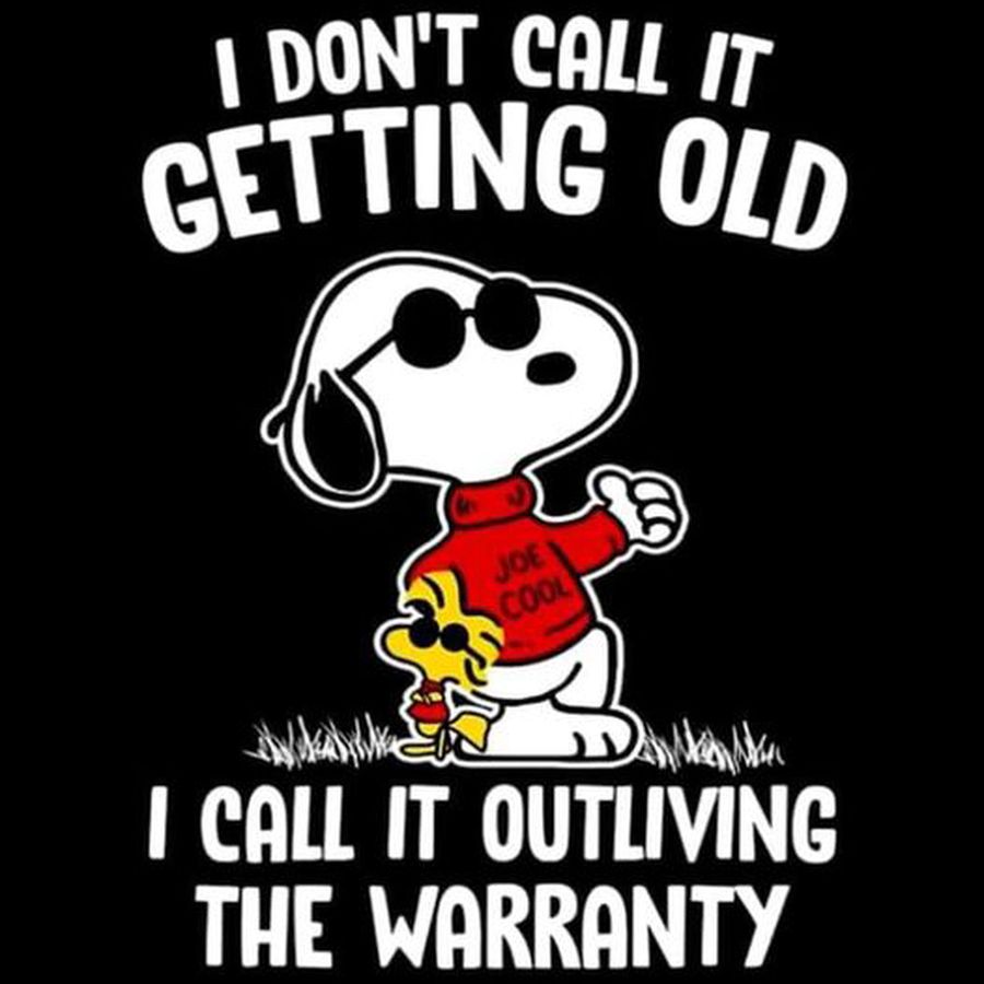 Snoopy and Woodstock joe cool I don't call it getting old I call it outliving the warranty shirt