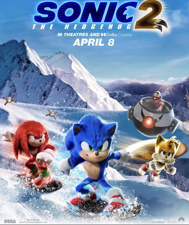 Sonic the Hedgehog 2 (2022) Poster, Canvas, Home Decor6
