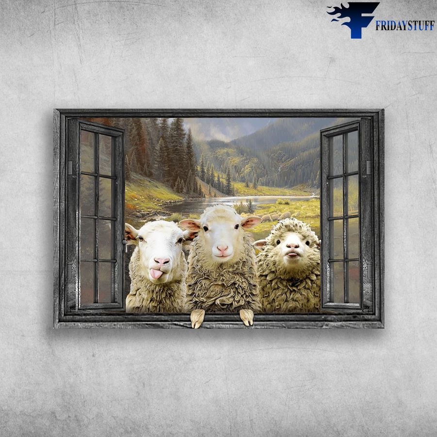The Sheeps Outside The Window Poster