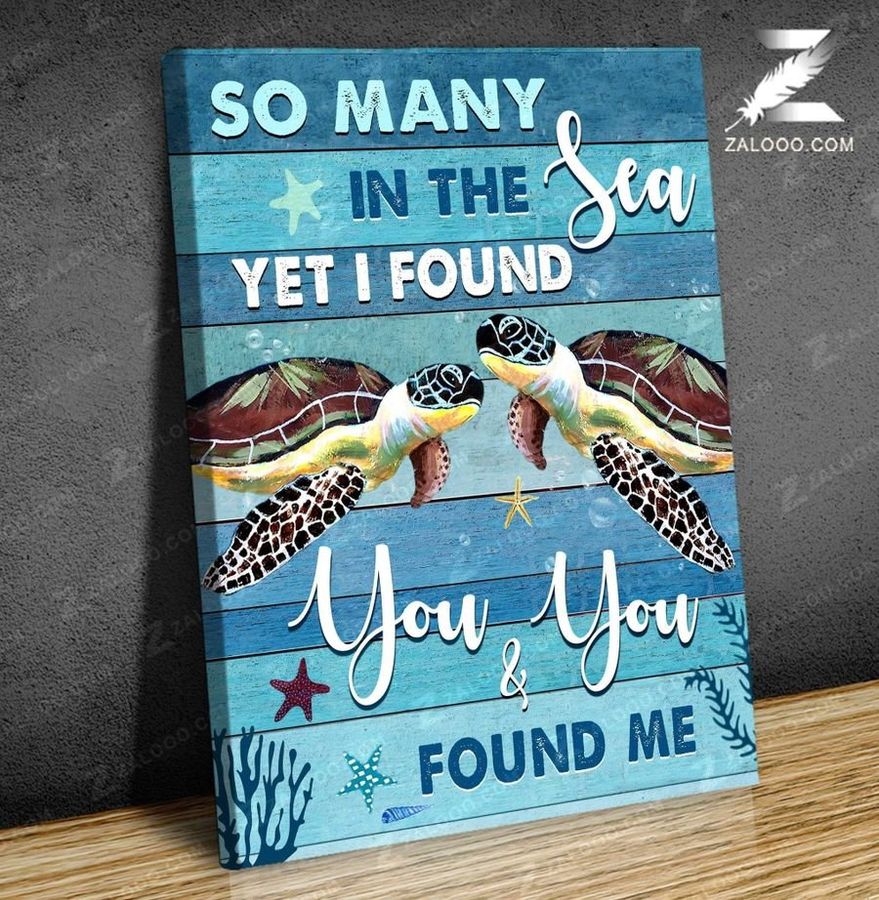 Turtle I Found You & You Found Me2 Poster Poster