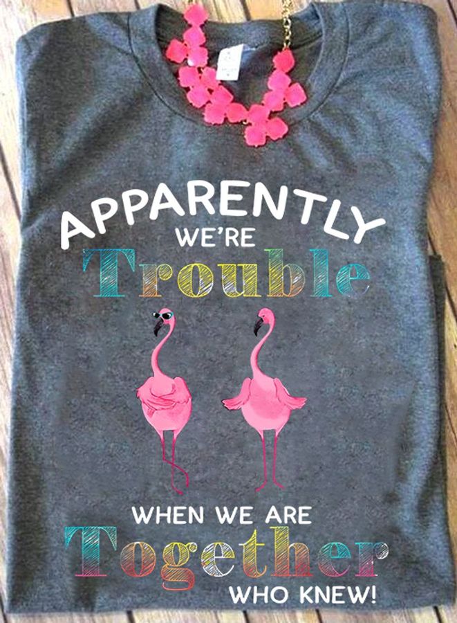 Apparently We Are Trouble When We Are Together Who Knew T Shirt Grey B1 64yd5 Plus Size