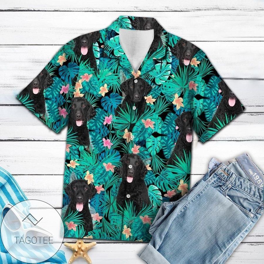 Find Curly Coated Authentic Hawaiian Shirt 2022