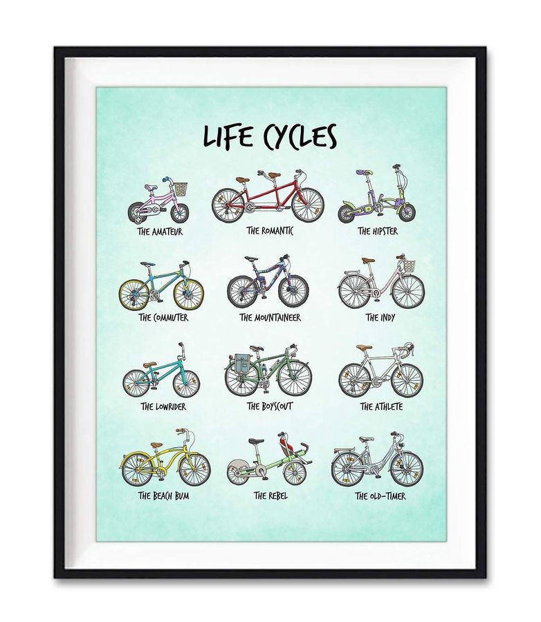 Life Cycle, Types Of Cycle, The Amateur The Romantic The Hipster Poster