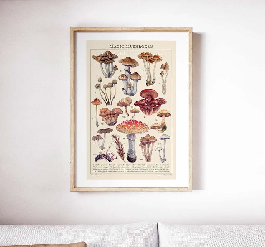 Magic Mushrooms Botanical Poster
