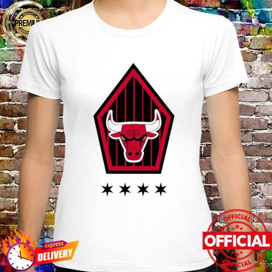 Official Chicago Bulls City Edition shirt