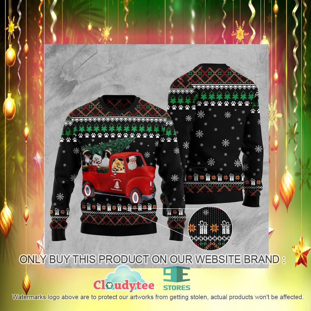 Pomeranian and Santa Claus Ugly Christmas Sweater – LIMITED EDITION