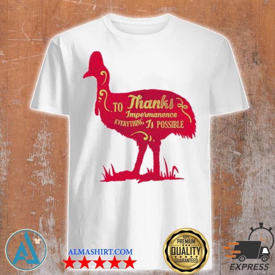 To thanks impermanence everything is possible shirt