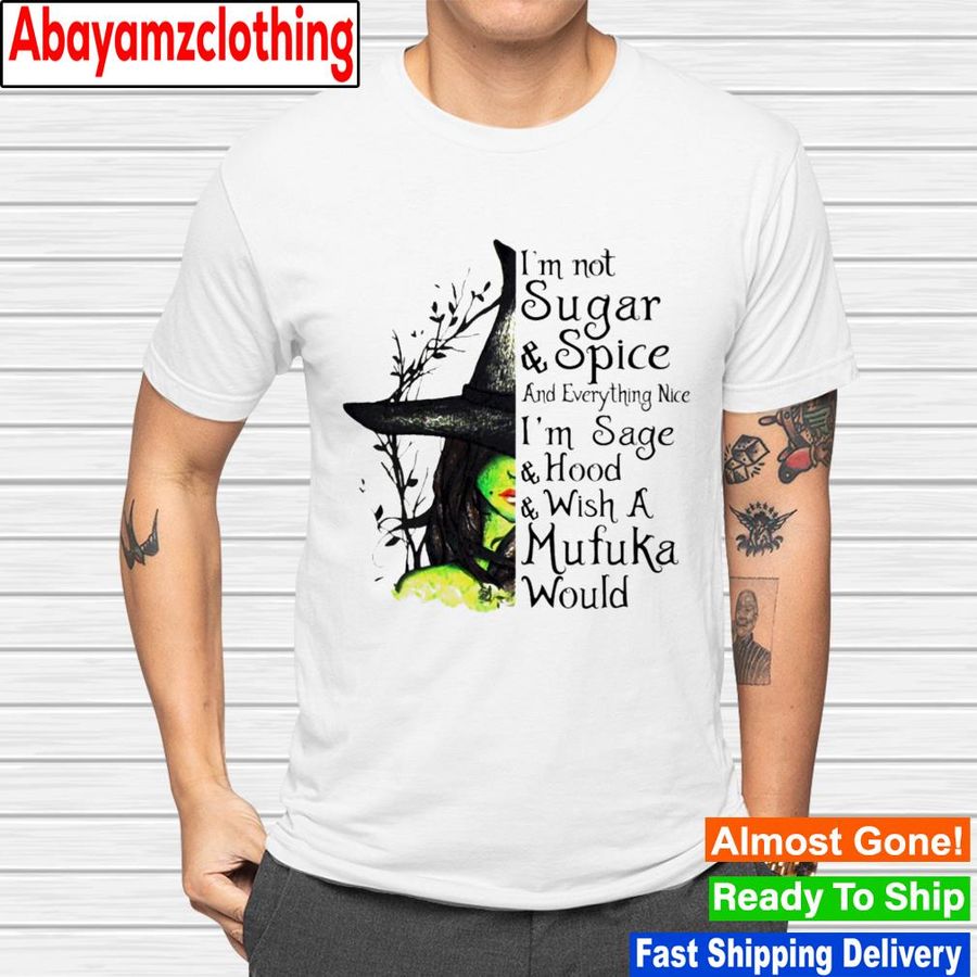 Witch girl i'm not sugar and spice and everything nice shirt