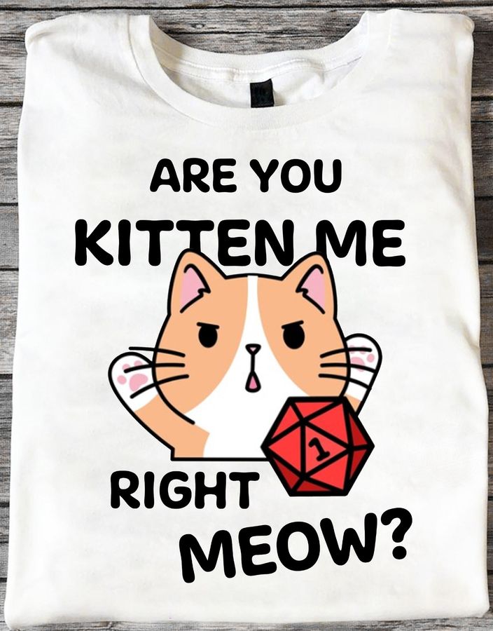 Are You Kitten Me And Cat Right Meow Shirt
