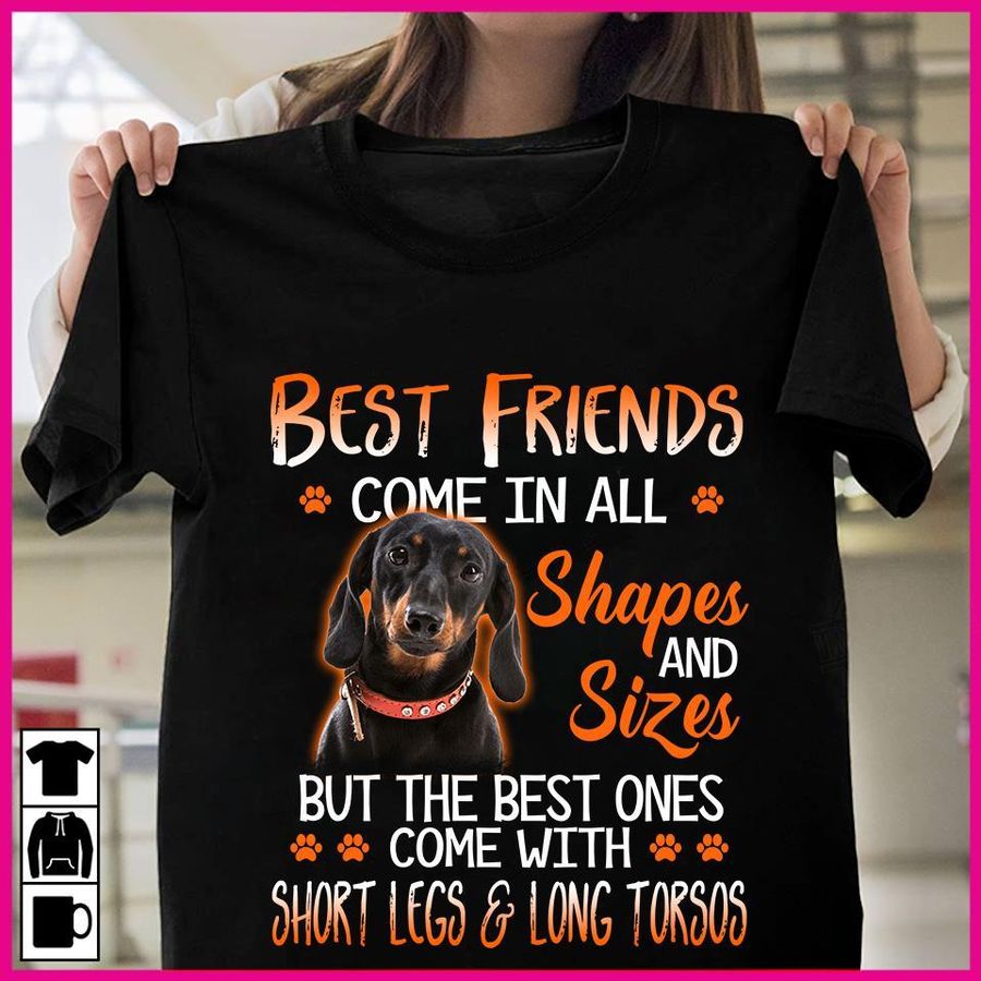 Best Friends Come In All Shapes And Sizes But The Best Ones Come With Short Legs And Long Torsos Shirt