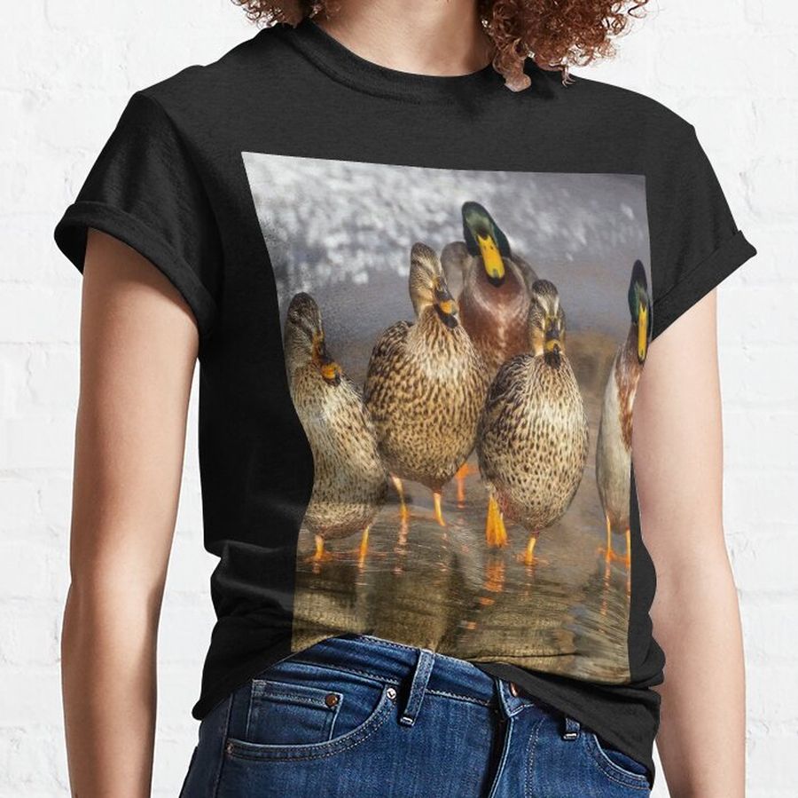 DI COLLECTION-CHIDIYA GHAR DUCKS BIRD-2372 Classic T-Shirt