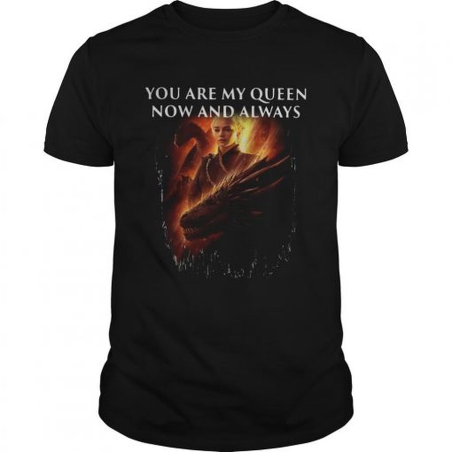 Guys Mother of dragon you are my queen now and always shirt