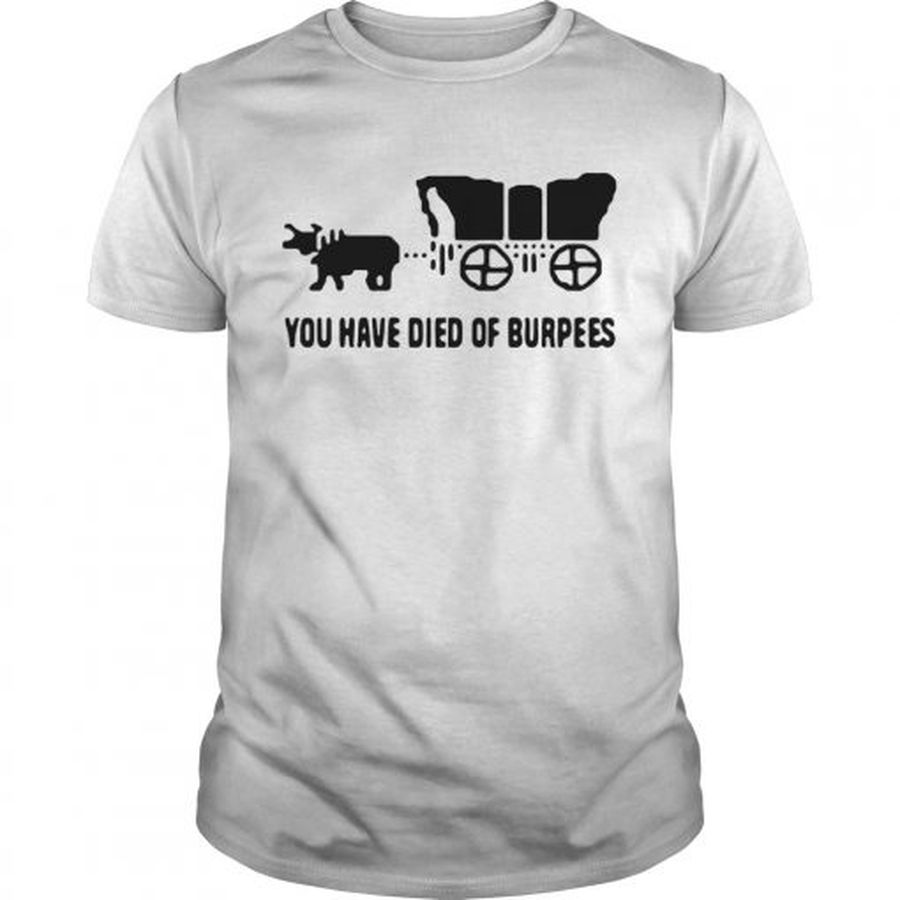 Guys Oregon trail you have died of burpees shirt