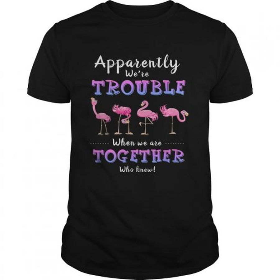 Guys Original Apparently Were Trouble When We Are Together Flamingo shirt