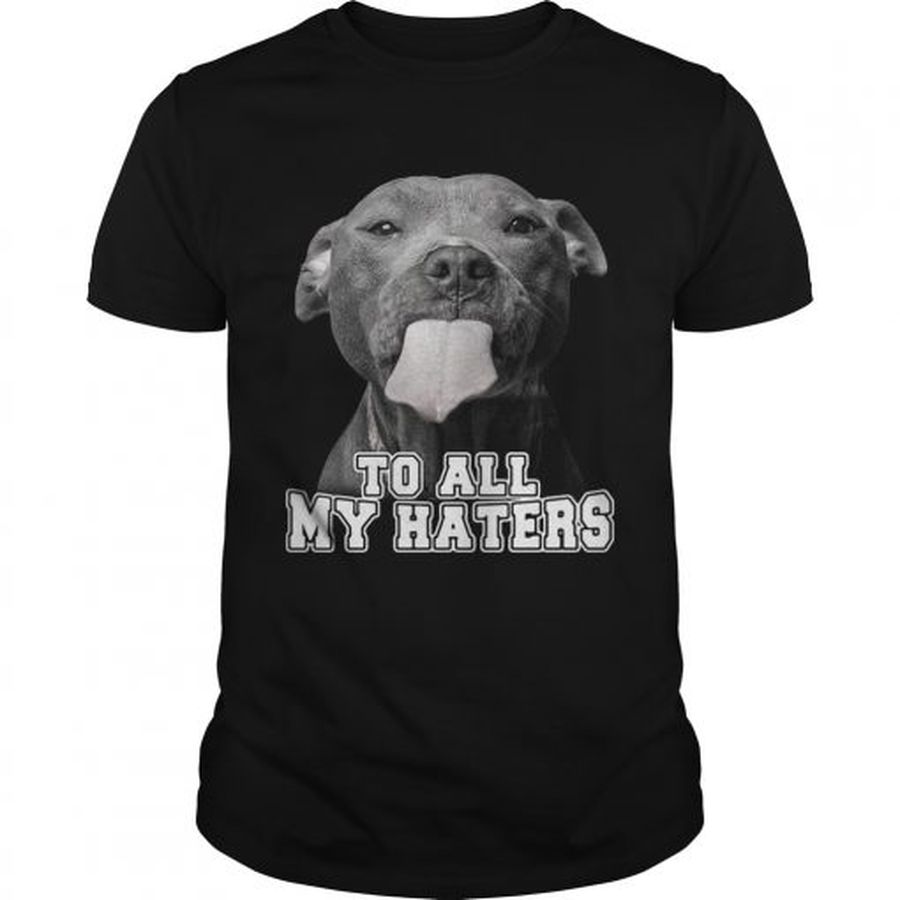 Guys Pitbull to all my haters shirt