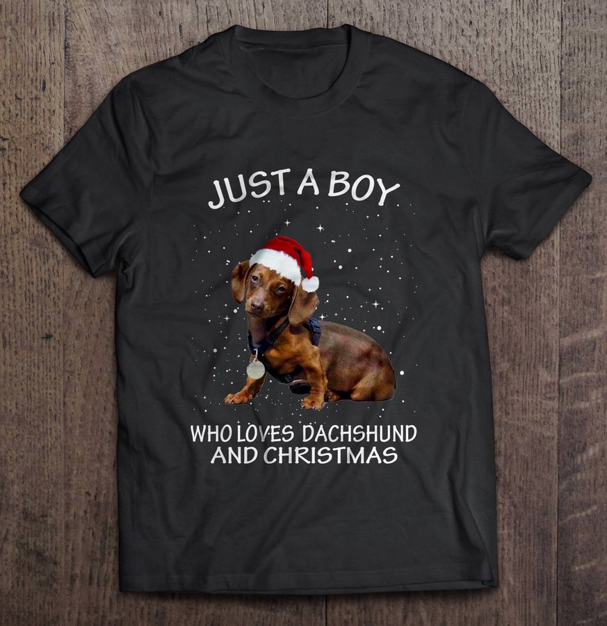 Just A Boy Who Loves Dachshund And Christmas Shirt
