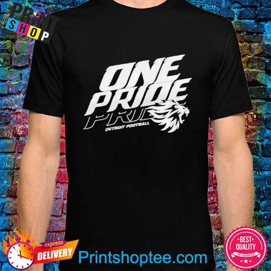 One Pride Detroit Lions shirt