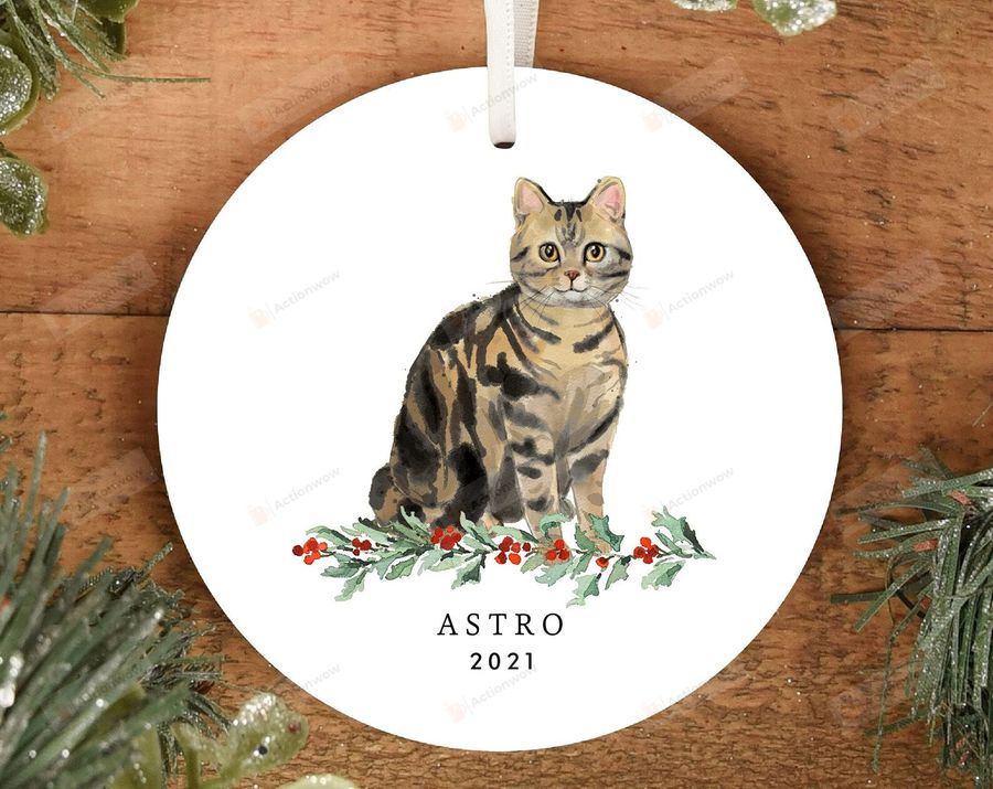 Personalized Tabby Cat Christmas Ornament Black And Brown Cat For Family Have Pets Decoration Hanging Ornament Gifts For Thanksgiving Christmas New Year   4069
