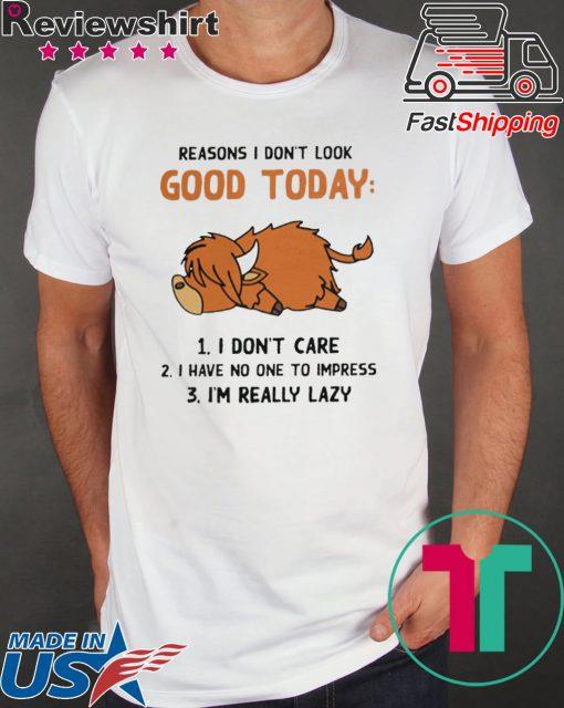 Reasons I Don’t Look Good Today I Don’t Care I Have No One To Impress And I’m Really Lazy Shirt