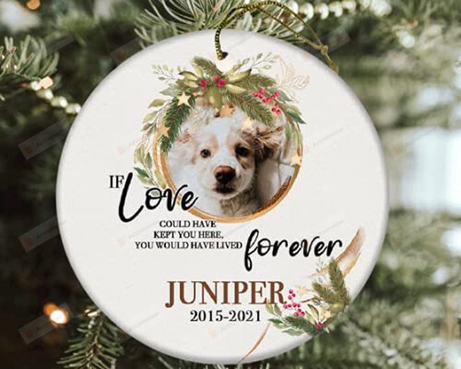 You Would Have Lived Forever Ornament Personalized Photo Pet Memorial Ornament Memorial Gift Loss Of Dog Cat Car Hanging Ornament Hanging Decoration Christmas Tree Merry Christmas Ornament